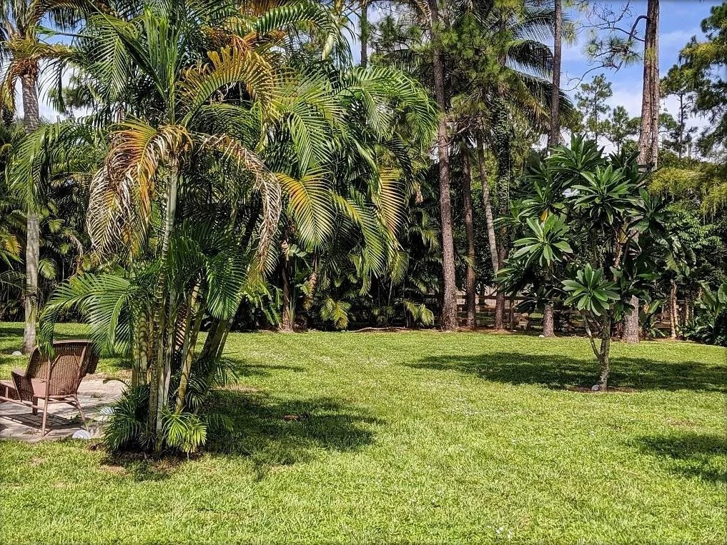 Photo of 12685 Timber Pine Trail