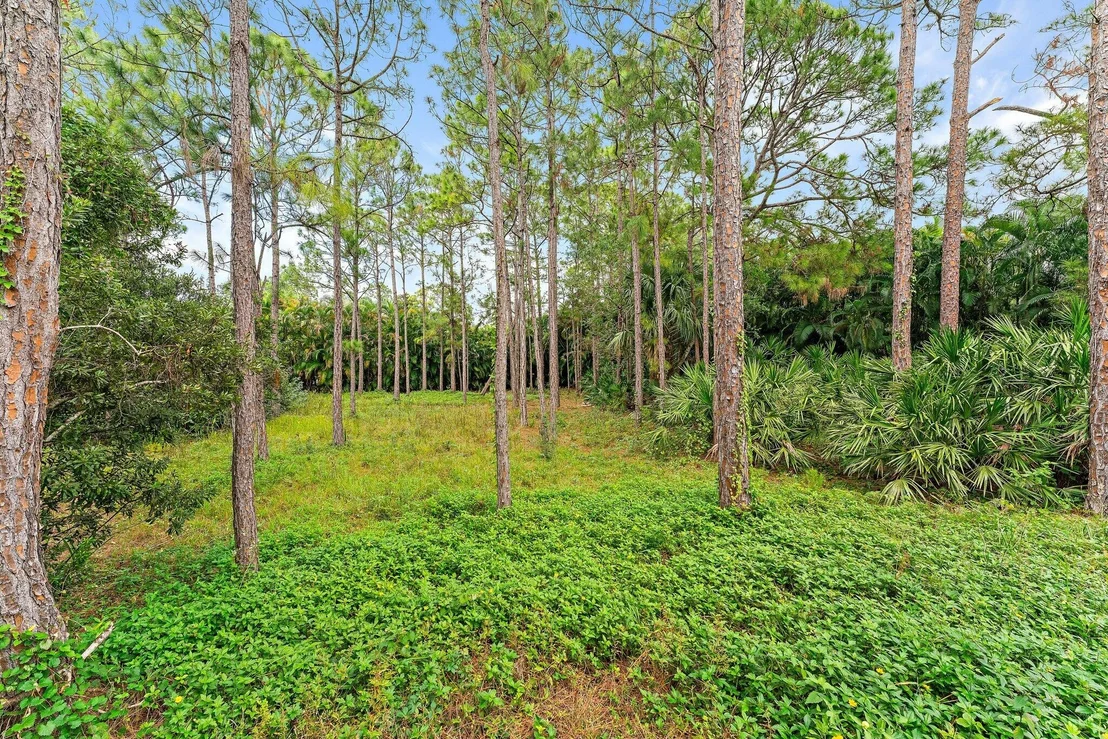 Photo of 15784 Alexander Run