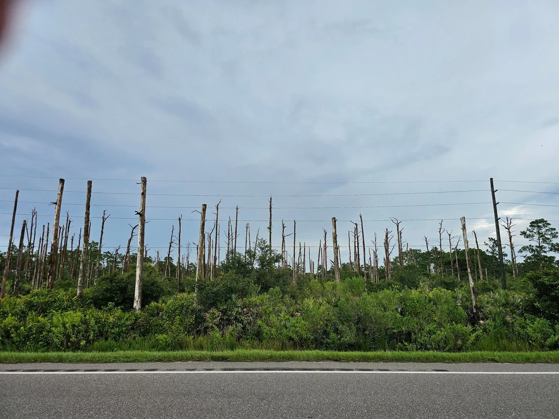 Photo of 34964 HWY 441