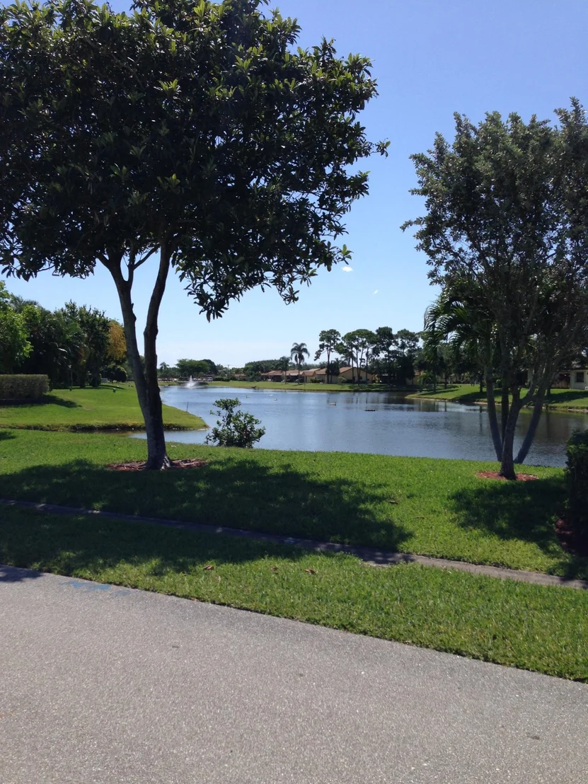 Photo of 3144 Silver Buttonwood Drive