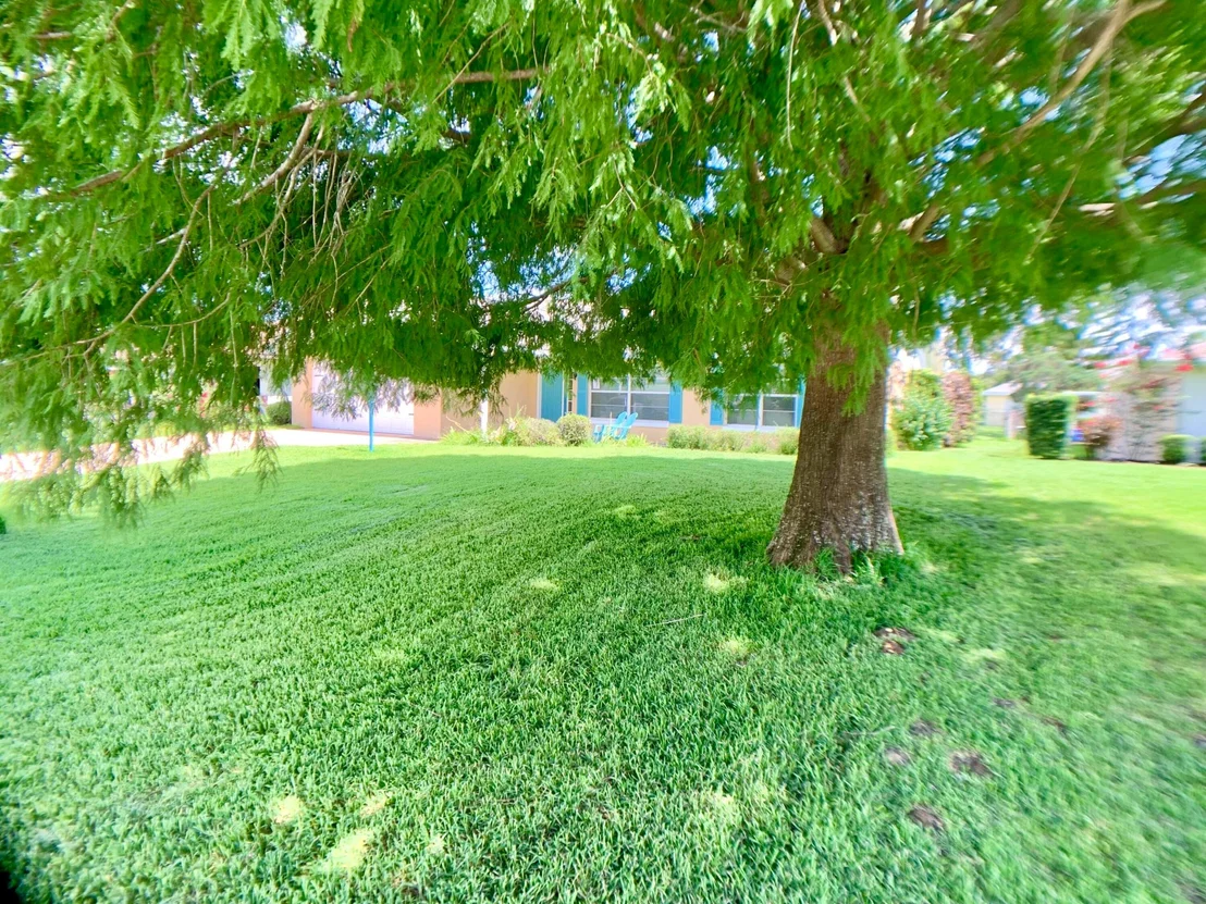 Photo of 415 Mac Lane