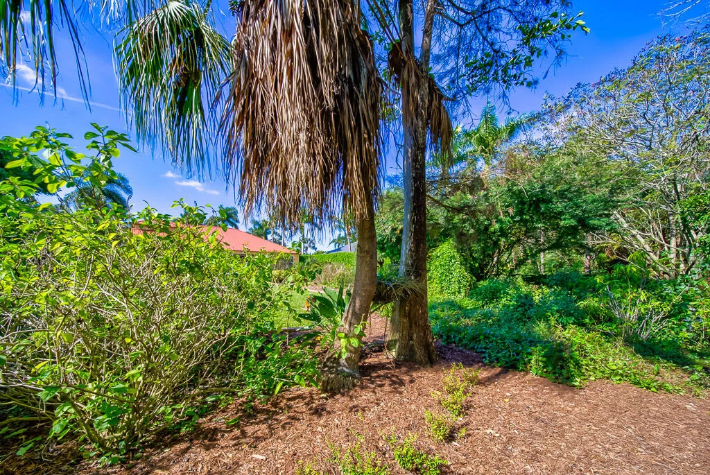 Photo of 4535 Hunting Trail