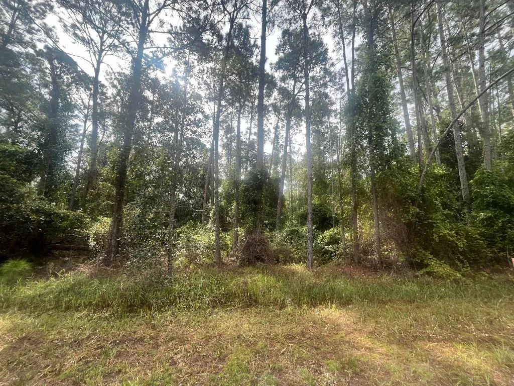 Photo of 223 SE 2nd Street