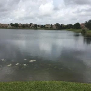 Photo of 6743 Jacques Way