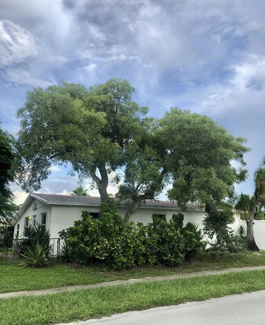 Photo of 301 5TH Street