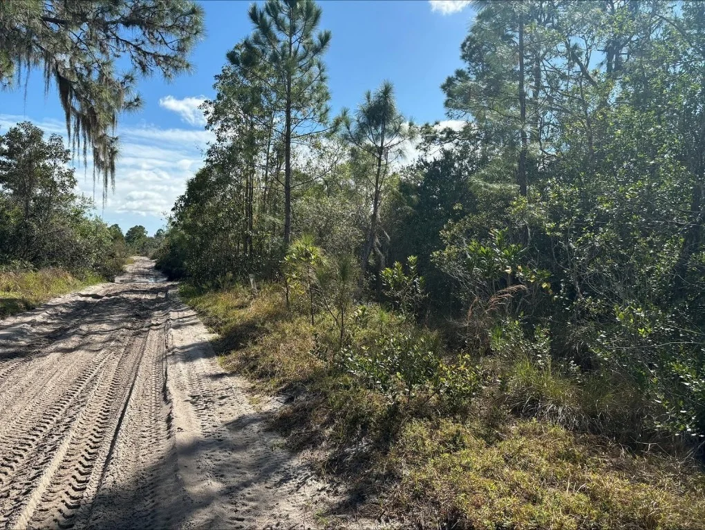 Photo of 0 Jackson Street