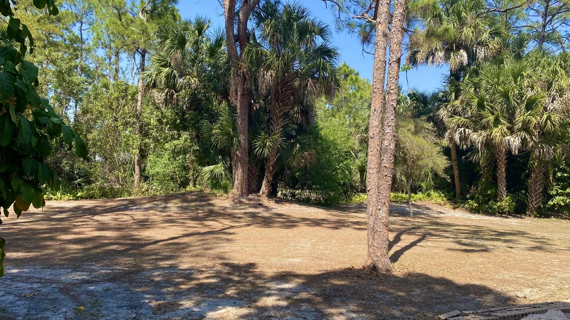 Photo of 12143 174th Pl N