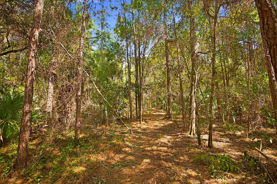 Photo of 3139 B Road