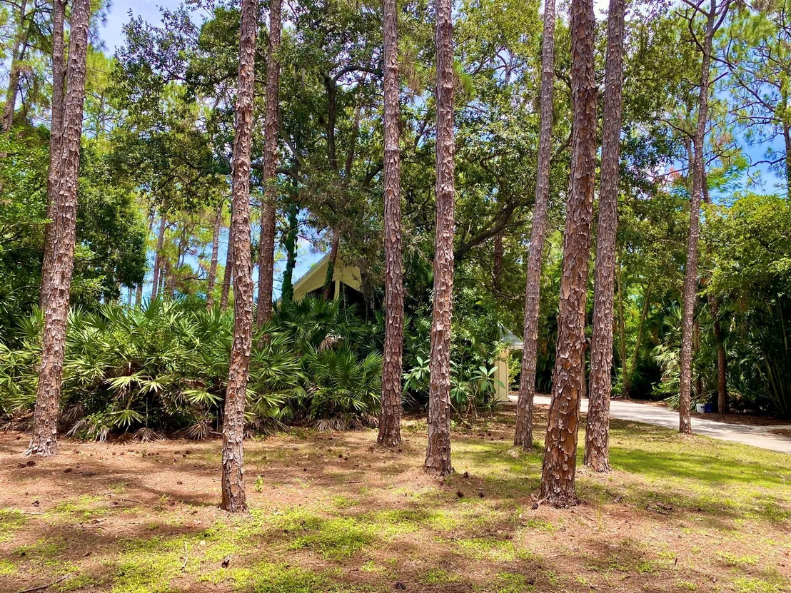 Photo of 16844 127 Drive N