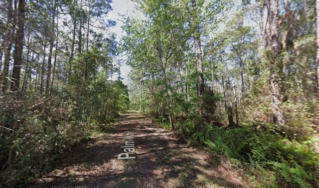 Photo of 418 Palm Way