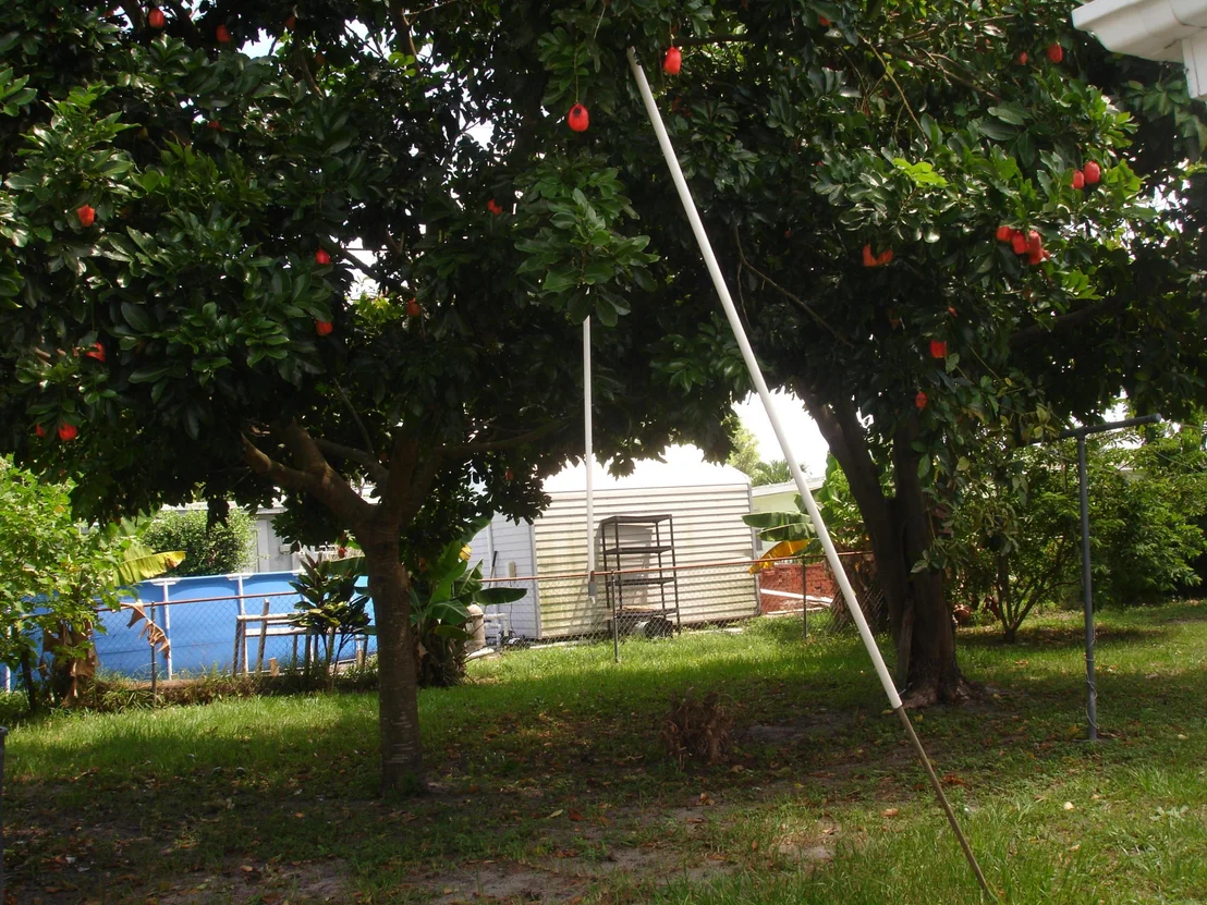 Photo of 3881 Ocala Road