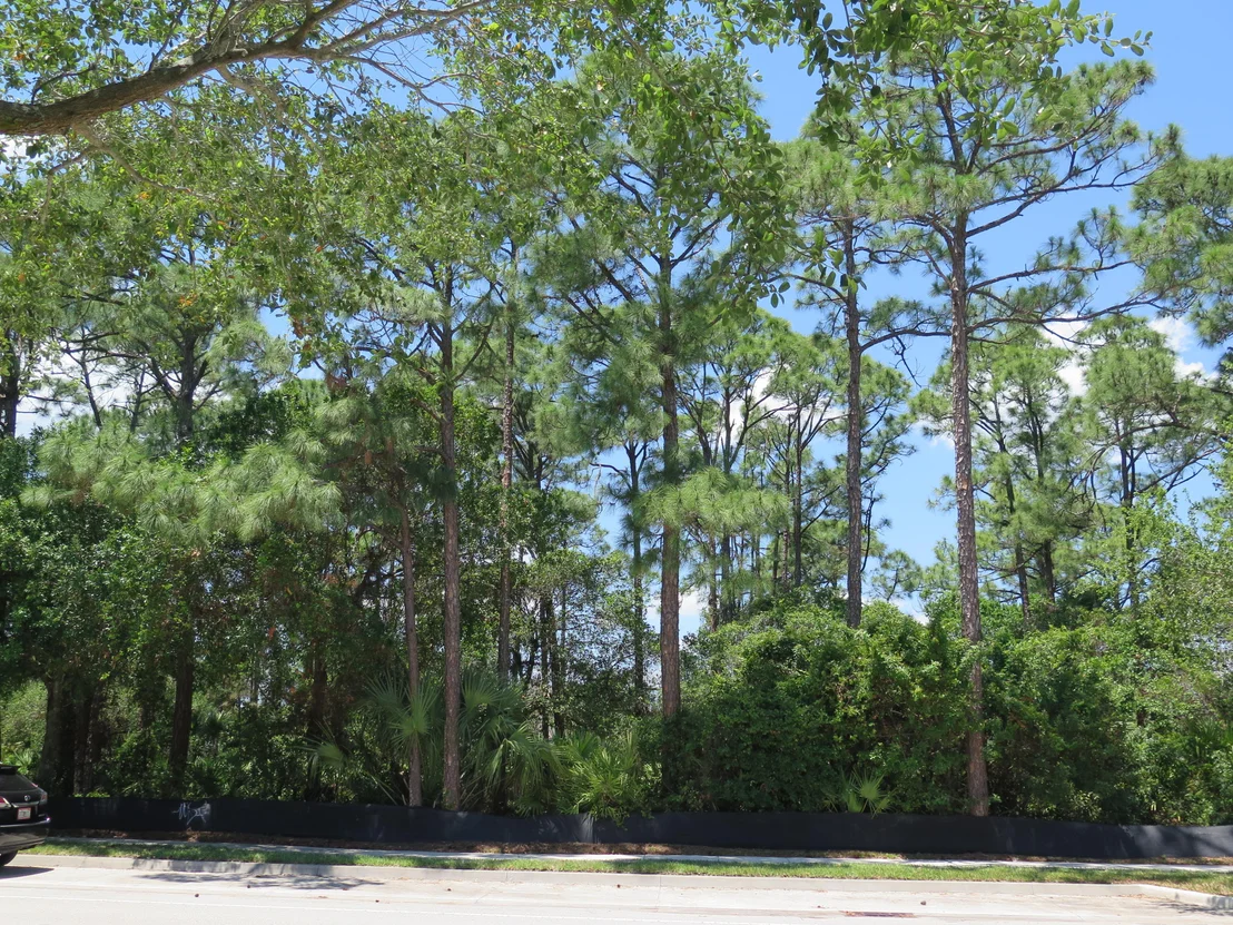 Photo of 2590 Greenway Drive