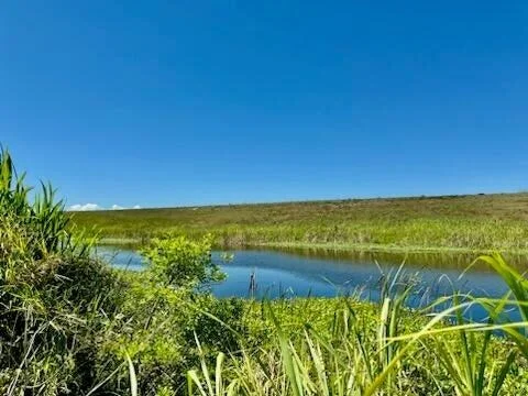 Photo of 5646 Us Hwy 441