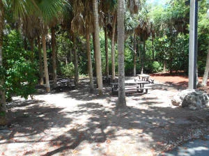 Photo of Unit D310 at 2871 N Ocean Boulevard