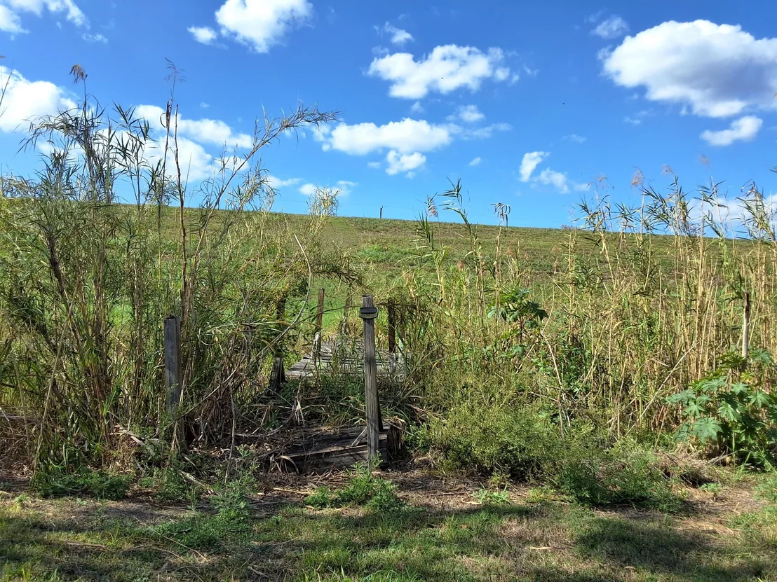 Photo of 1221 Bacom Point Road