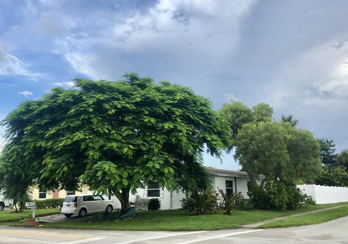 Photo of 301 5TH Street
