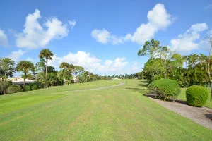 Photo of 4817 Tree Fern Drive