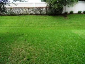 Photo of 10441 Yarrow Drive