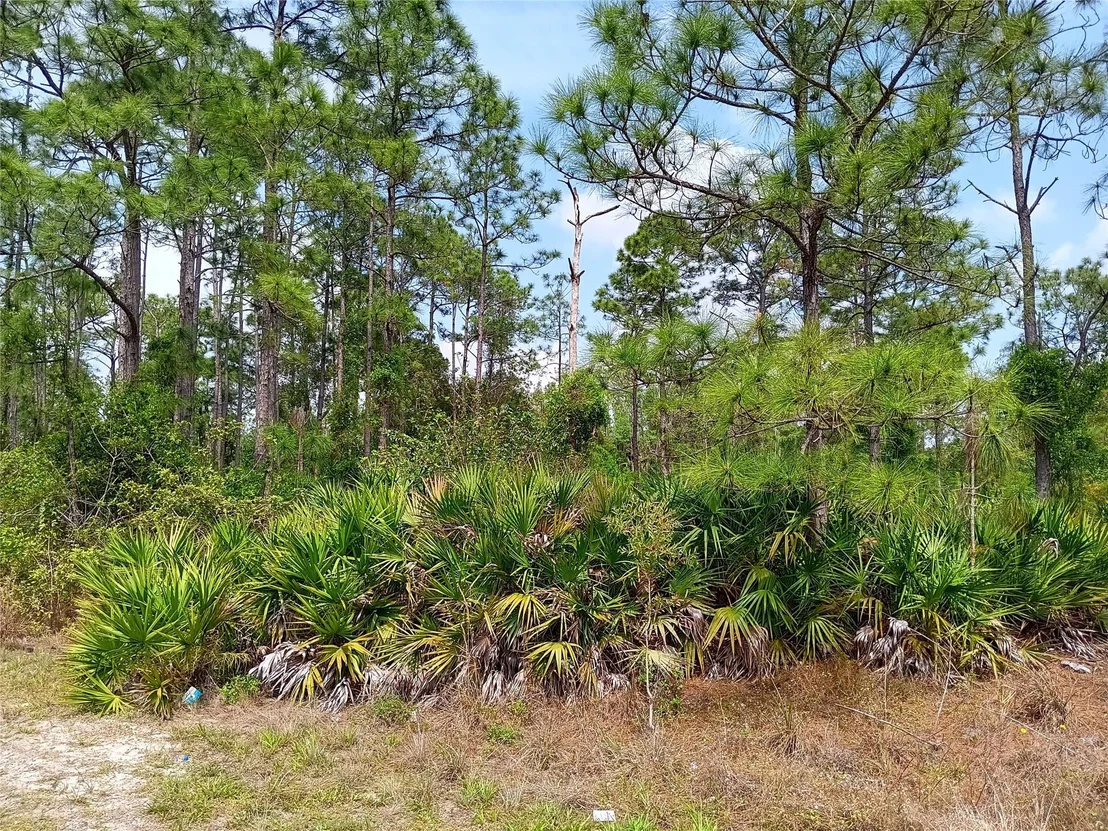 Photo of 541 Hutton Street