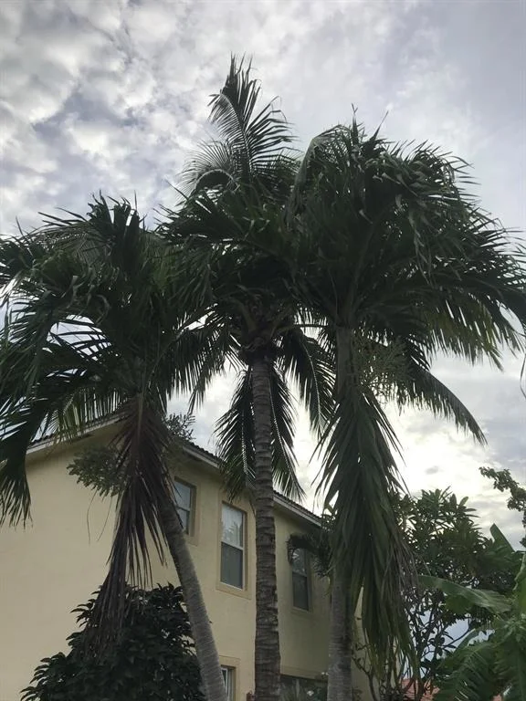 Photo of 1758 Pierside Circle