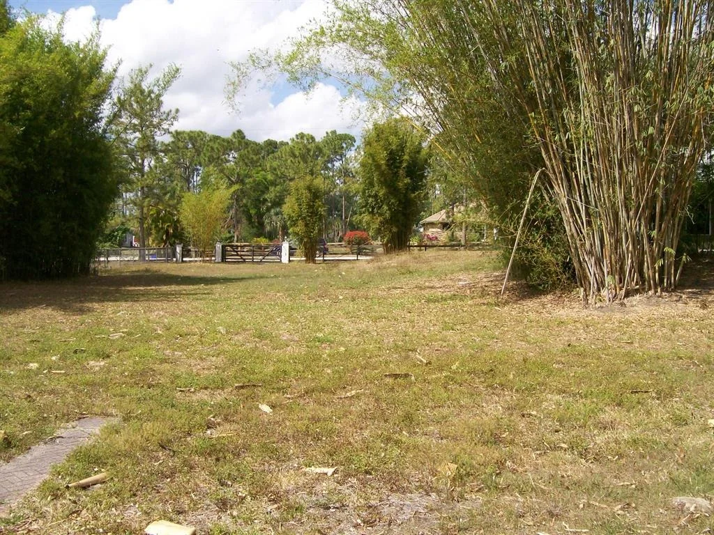 Photo of 14642 85th Road N