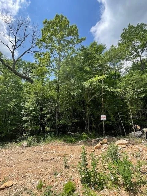 Photo of 706 Timber Creek Trails South XI