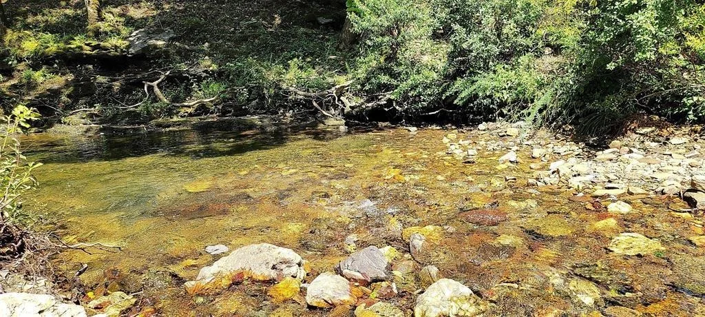 Photo of 74 Creek Side Trail
