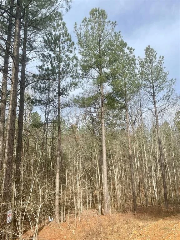 Photo of 740 Timber Creek Trails Xl