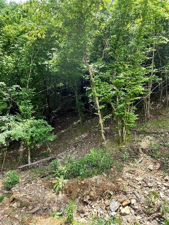 Photo of 694 Timber Creek Trails South XI