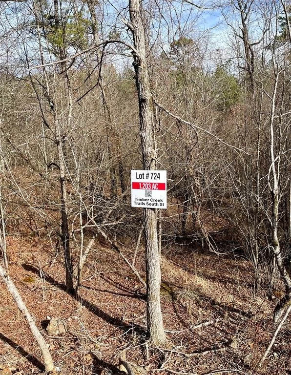 Photo of 724 Timber Creek Trails South XI
