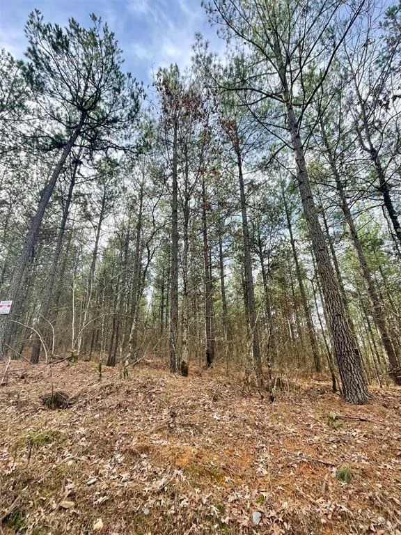 Photo of 739 Timber Creek Trails South XI