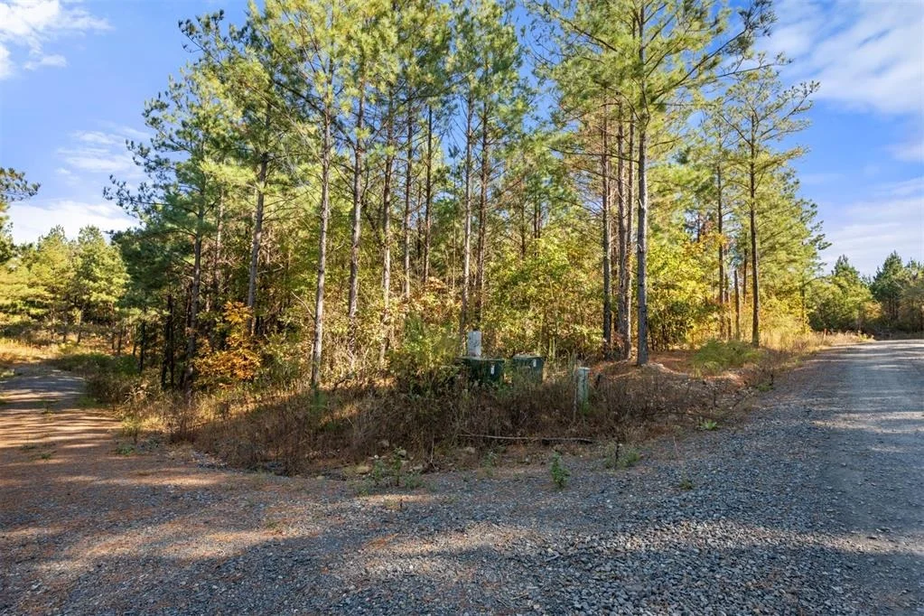 Photo of 24 Cedar Tree Trail