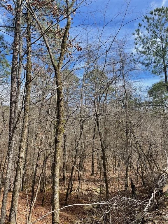Photo of 773 Timber Creek Trails South XI