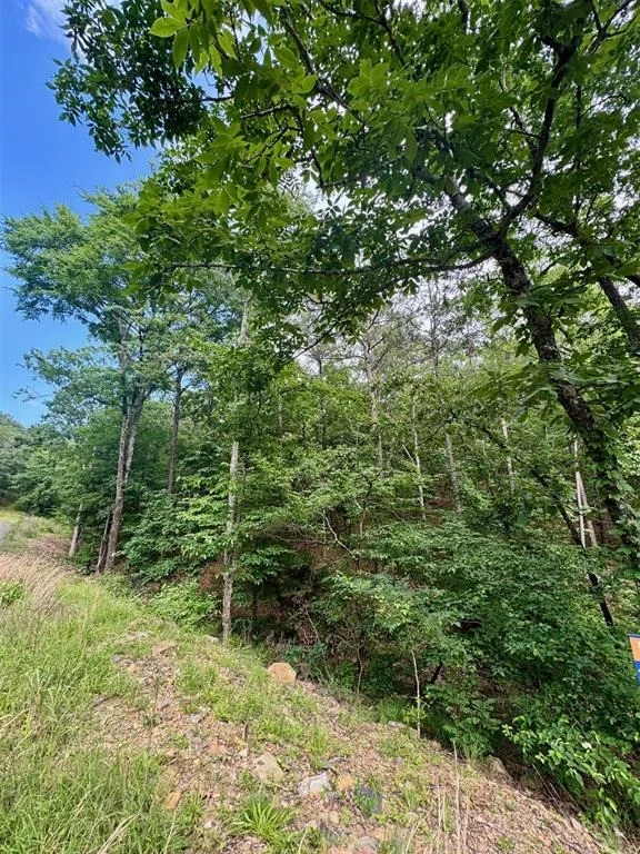 Photo of 132 Western CEDAR Trail