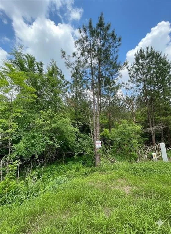 Photo of 664 Timber Creek Trails South XI