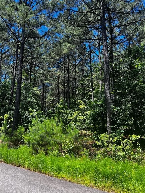 Photo of 83 Pleasant Cypress Trail