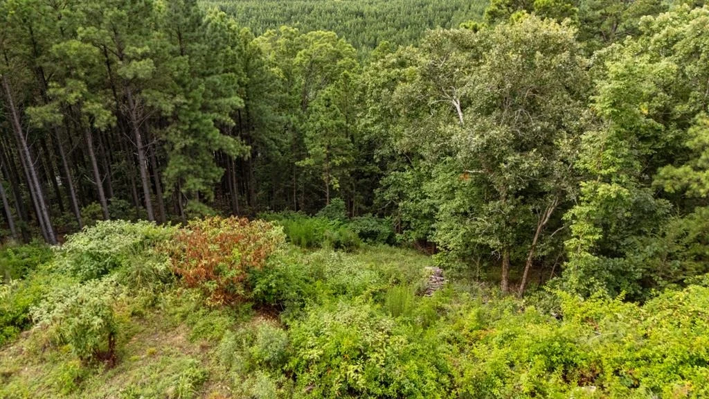 Photo of 28 Alder Place