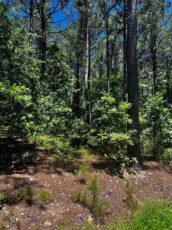 Photo of 83 Pleasant Cypress Trail