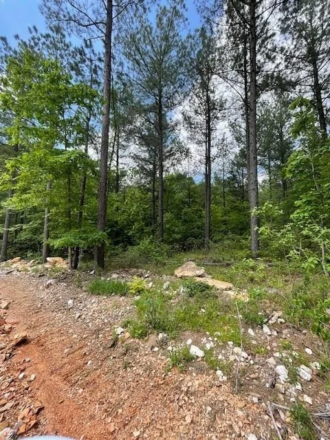 Photo of 705 Timber Creek Trails South XI