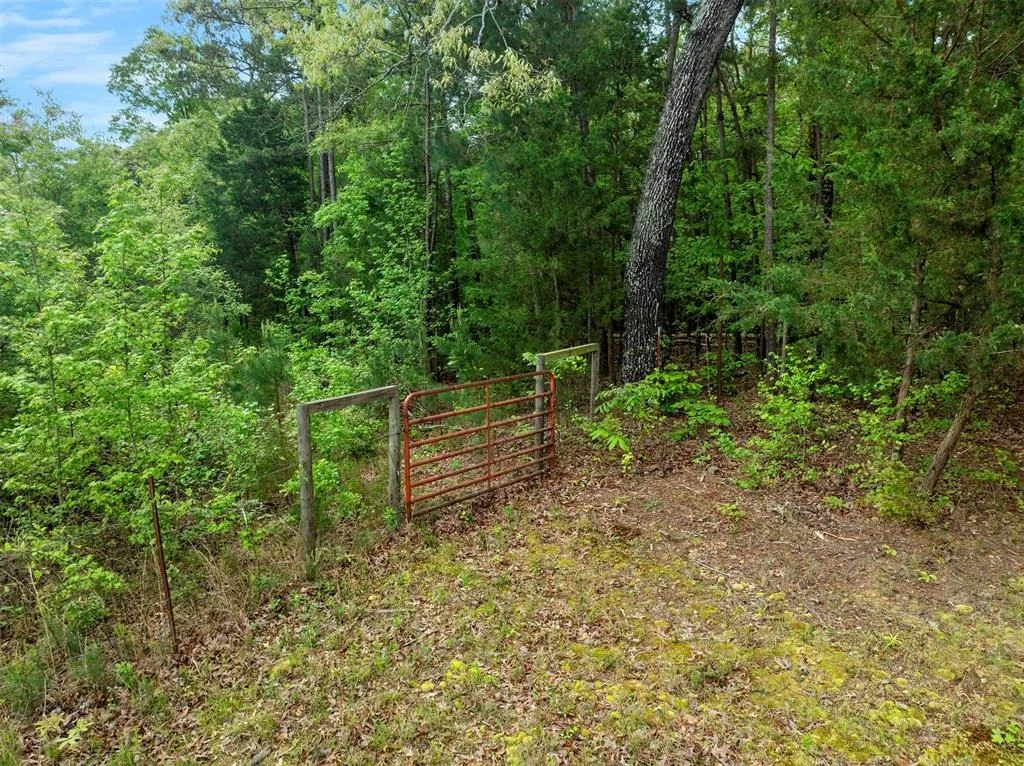 Photo of 728 Whipporwill Road