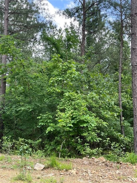 Photo of 690 Timber Creek Trails South XI