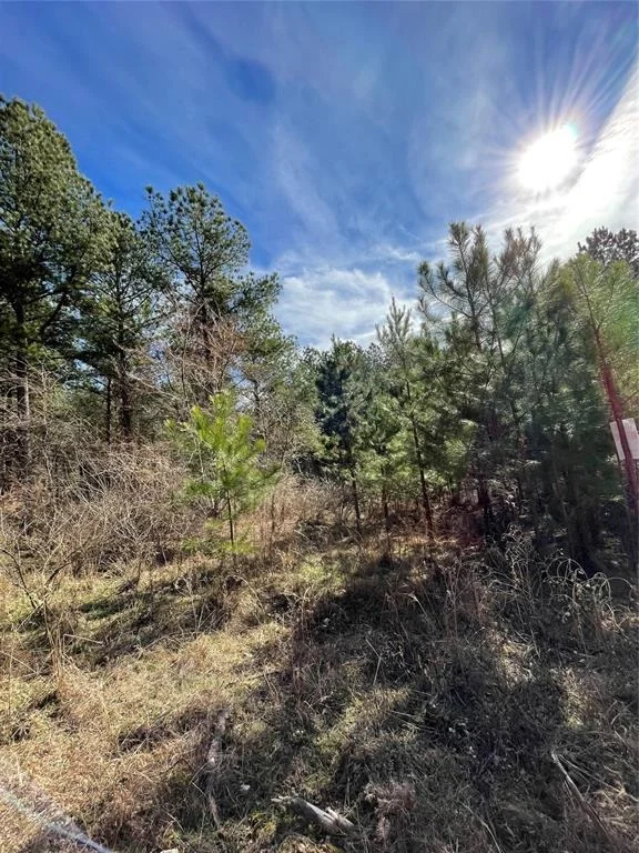 Photo of 765 Timber Creek Trails South XI