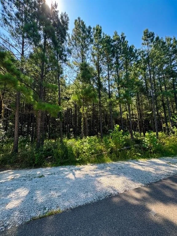 Photo of 41 Creek Side Trail