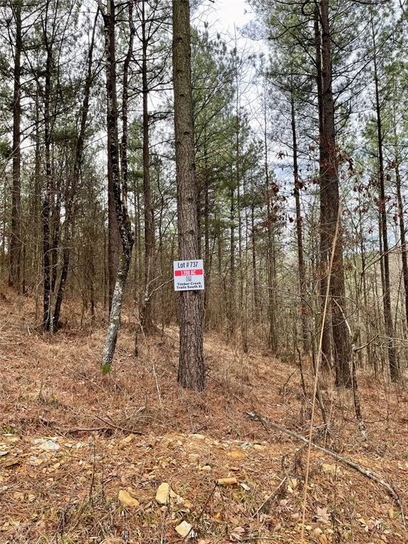 Photo of 737 Timber Creek Trails South XI