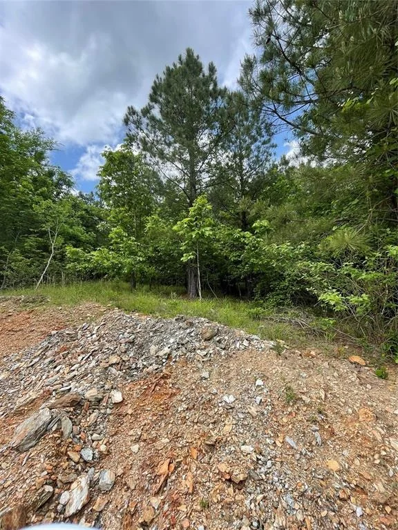 Photo of 696 Timber Creek Trails South XI