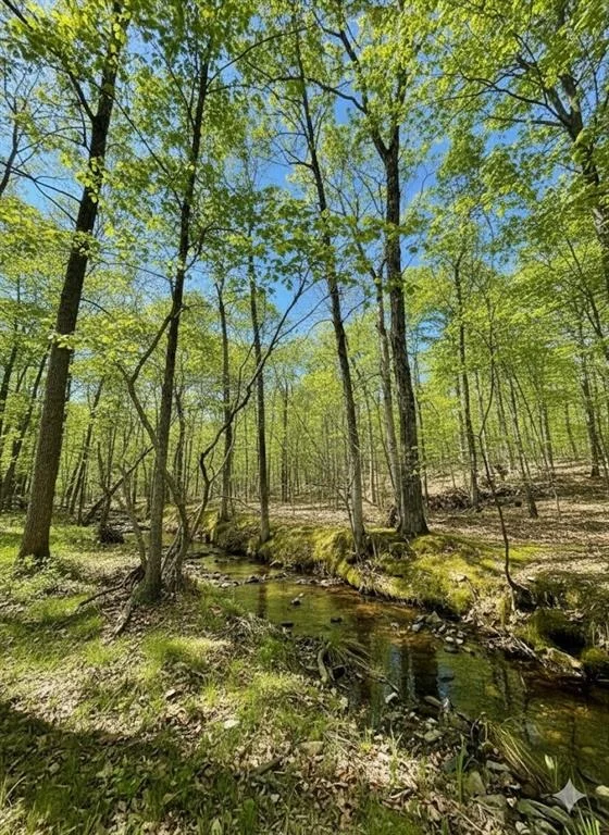 Photo of 771 Timber Creek Trails South XI