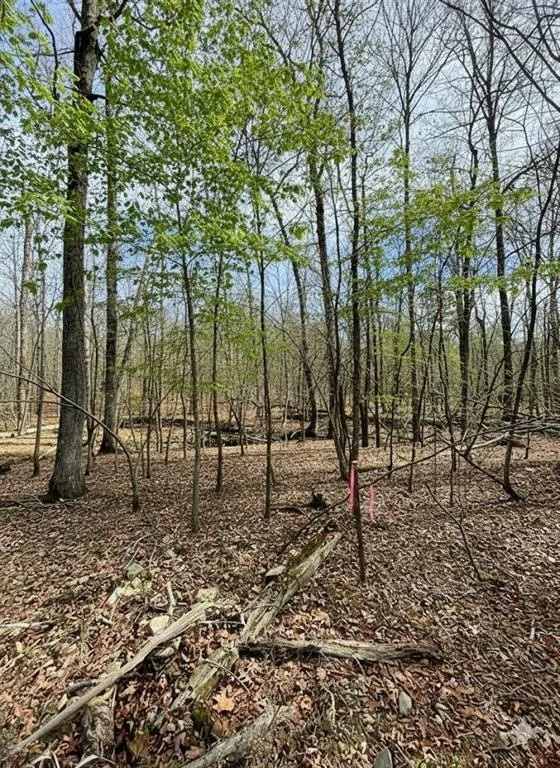 Photo of 770 Timber Creek Trails South XI