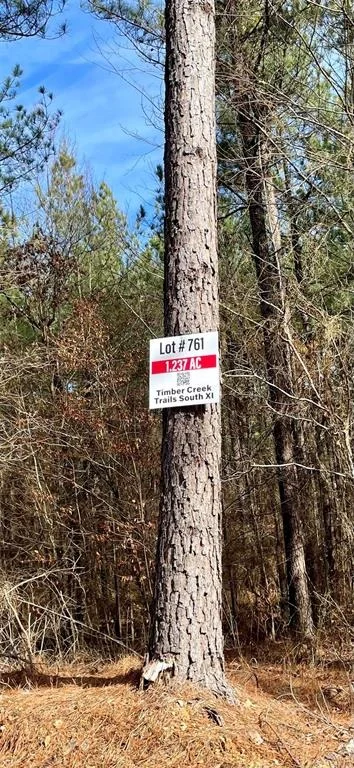 Photo of 761 Timber Creek Trails South XI