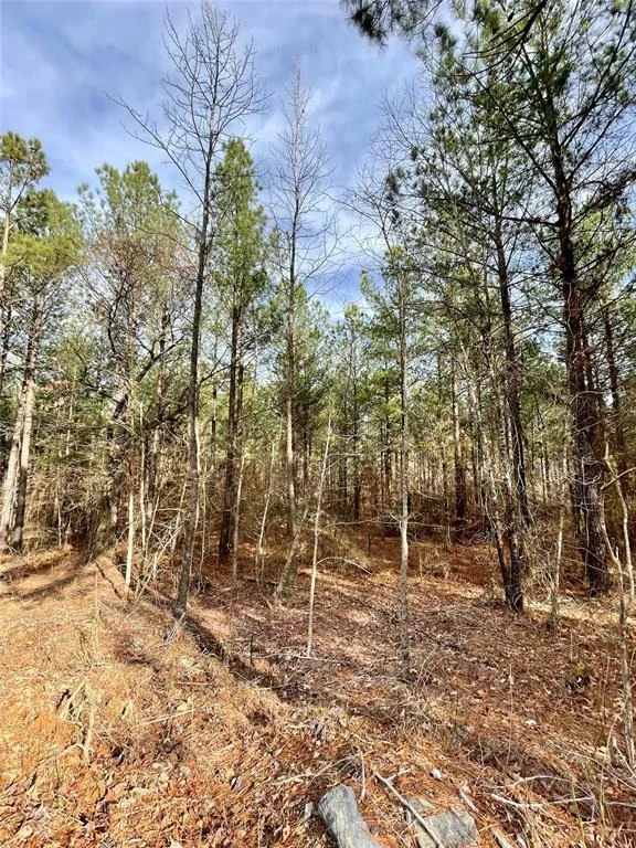 Photo of 744 Timber Creek Trails South XI