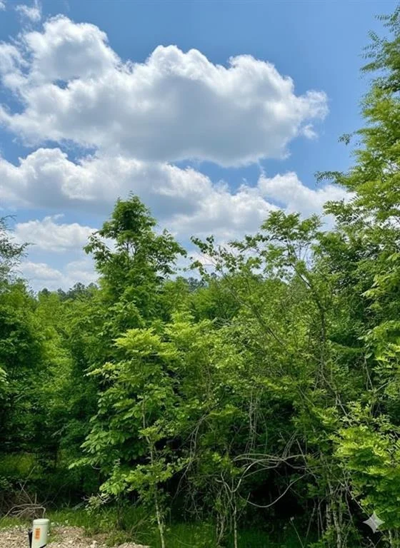 Photo of 664 Timber Creek Trails South XI